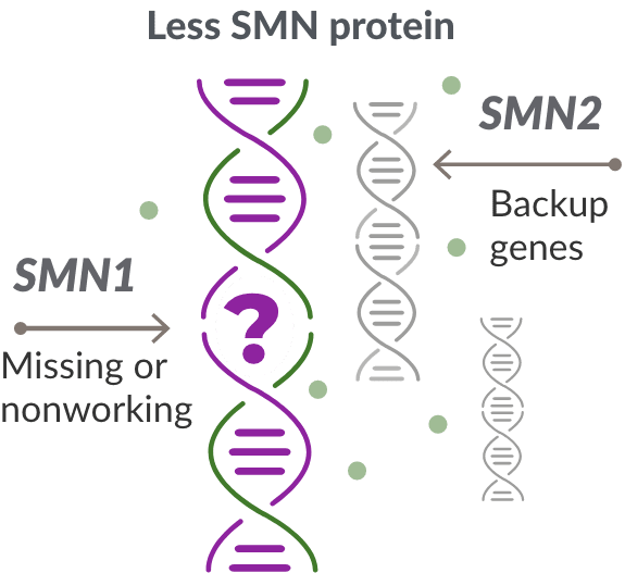 children with insufficient smn2